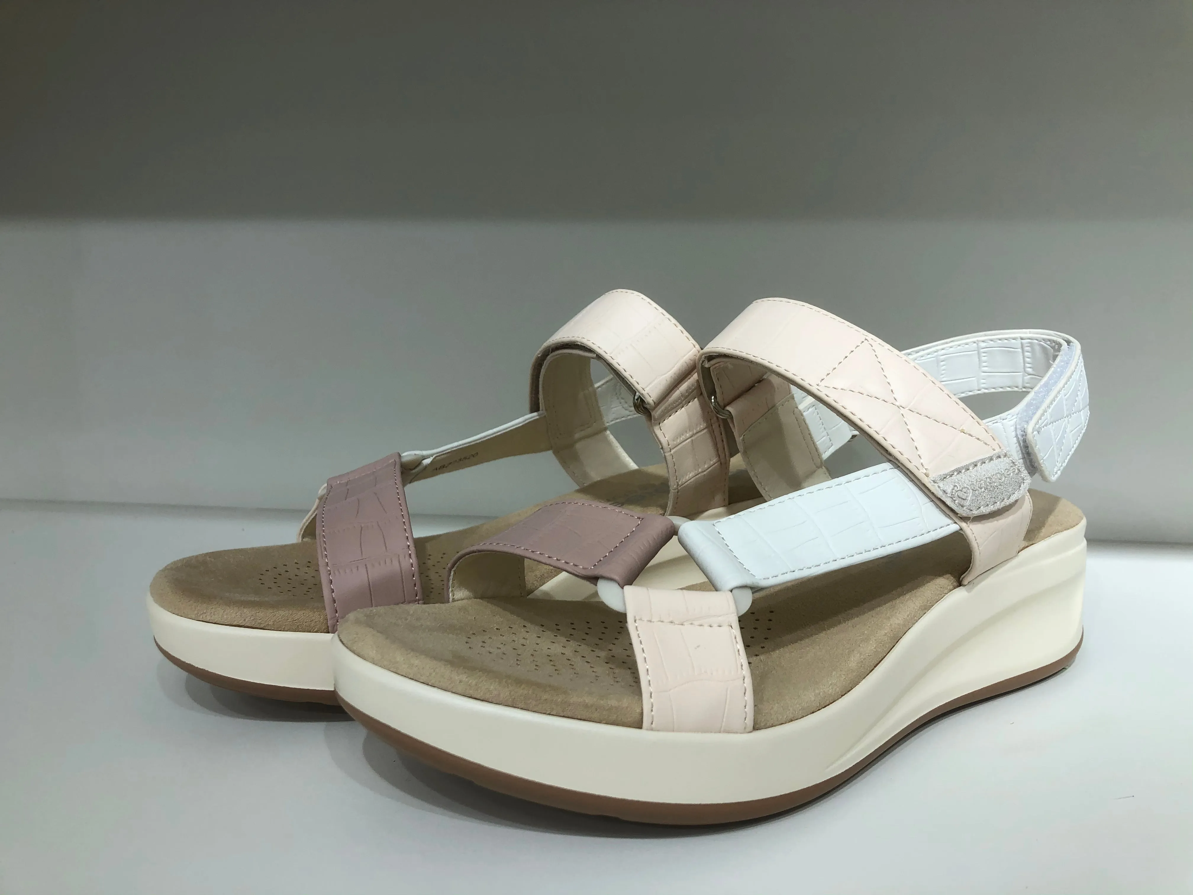ABZ23520 MULTINUDE