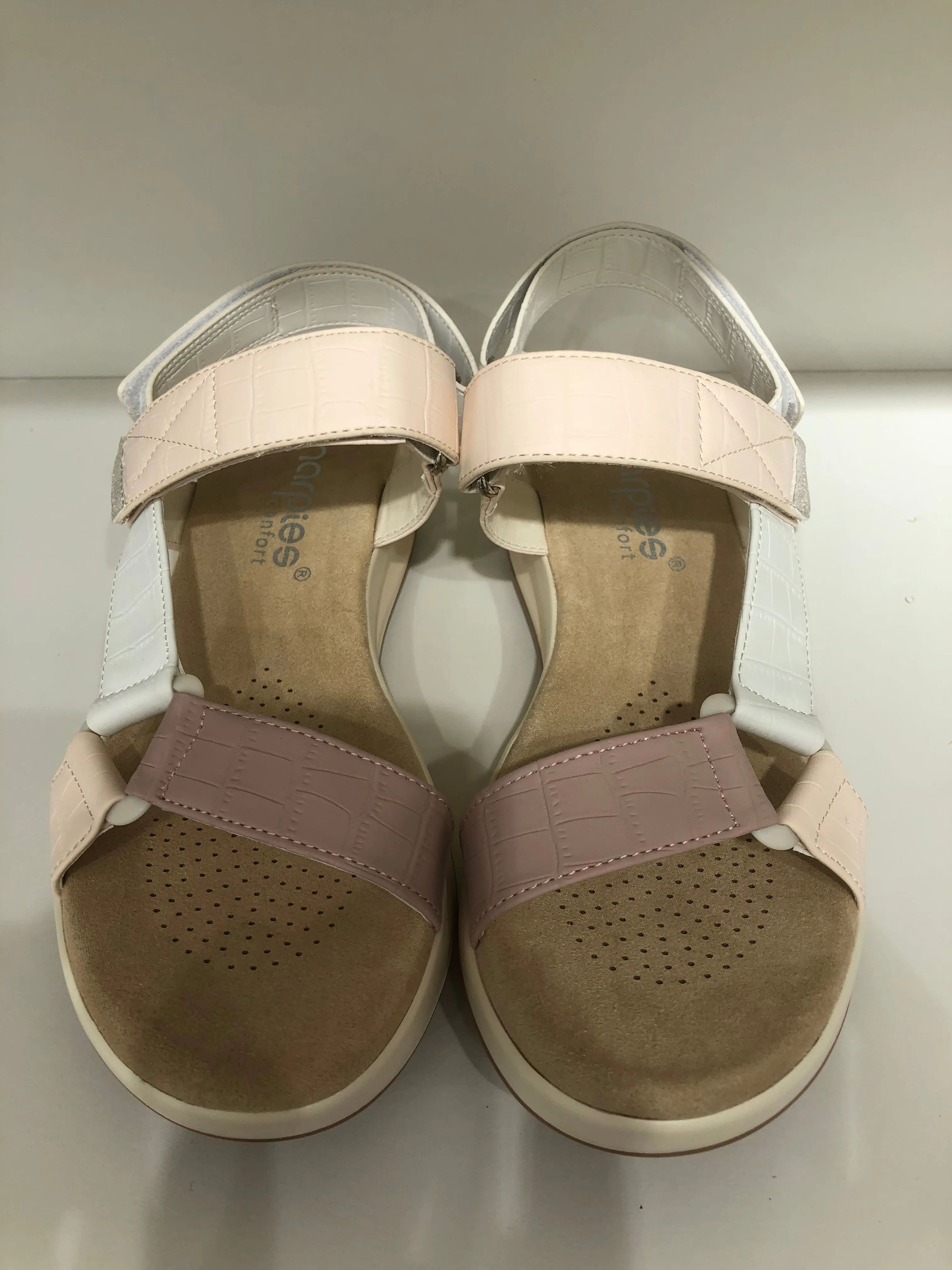 ABZ23520 MULTINUDE