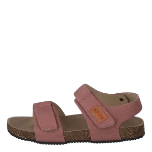 Bomhus Ep Ash Rose