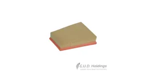 Fram Air Filter Nissan Qashqai/ X-Trail CA10654