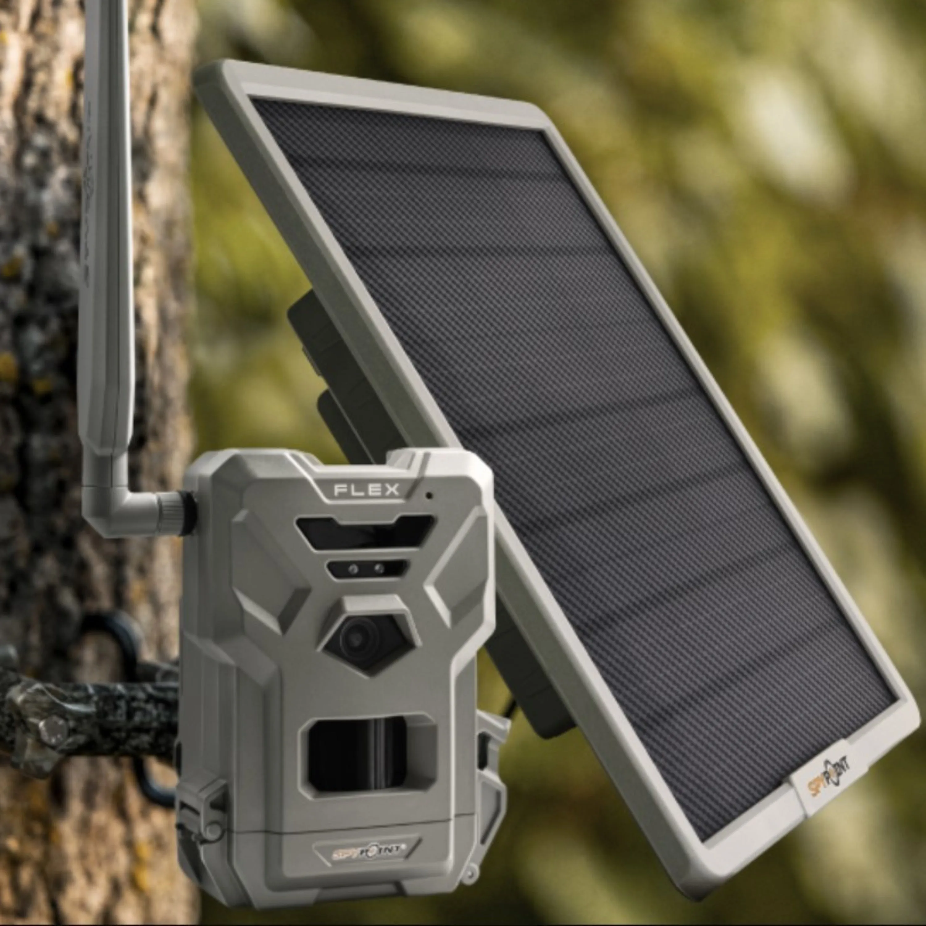 Panneau solaire - 10 W