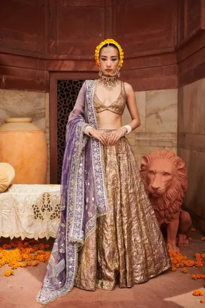 Purple Lampi Gota Lehenga Set