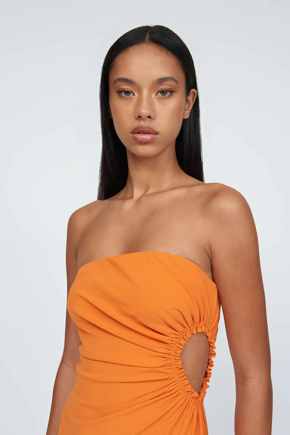 Selena Strapless Dress