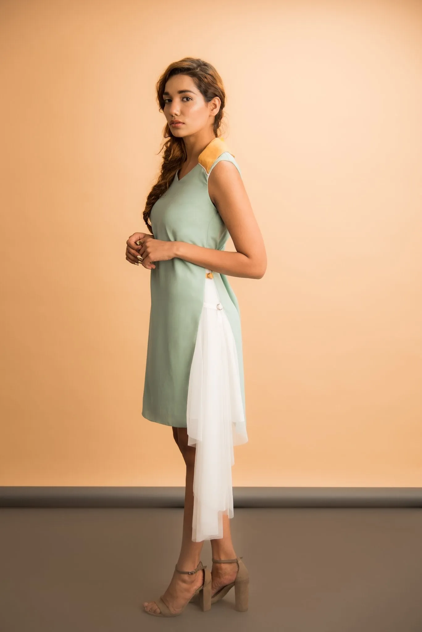 Shift Dress with Net