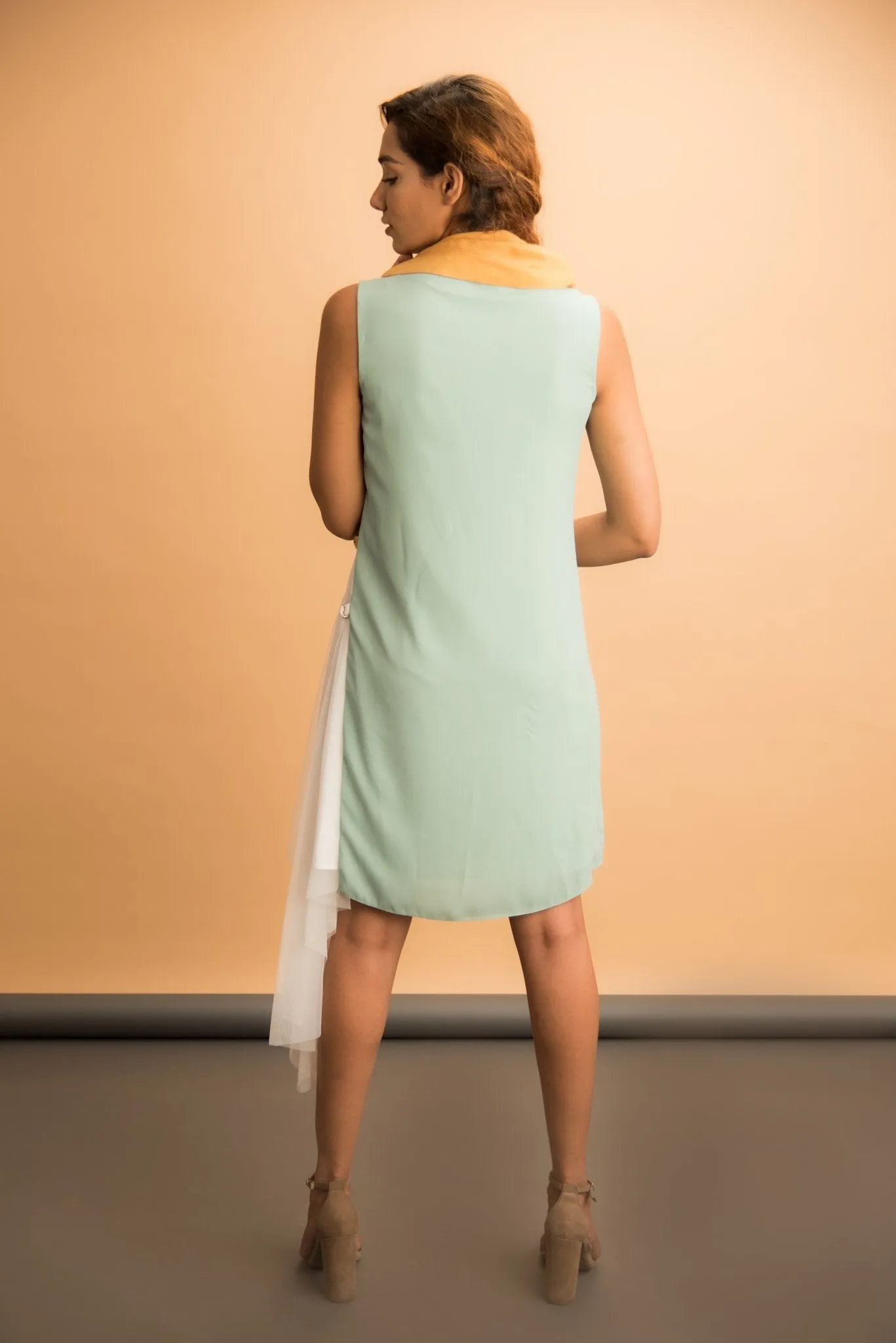 Shift Dress with Net
