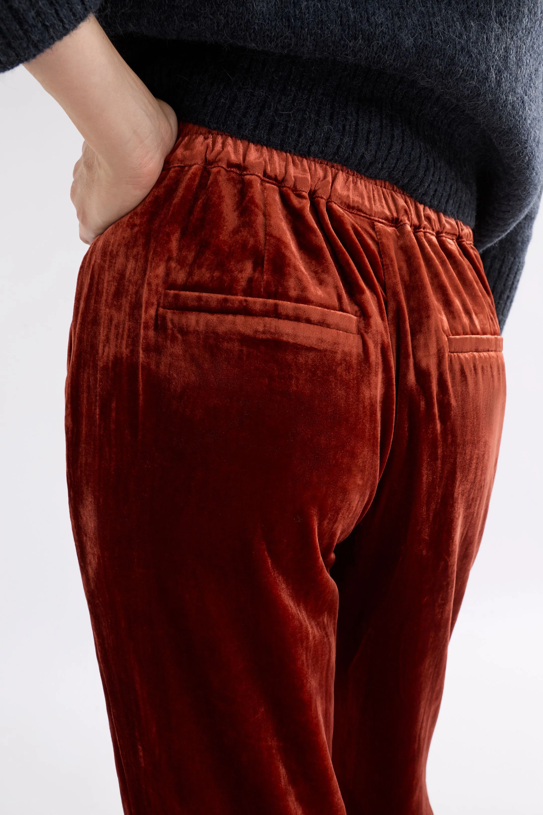Suuri Velvet Pant
