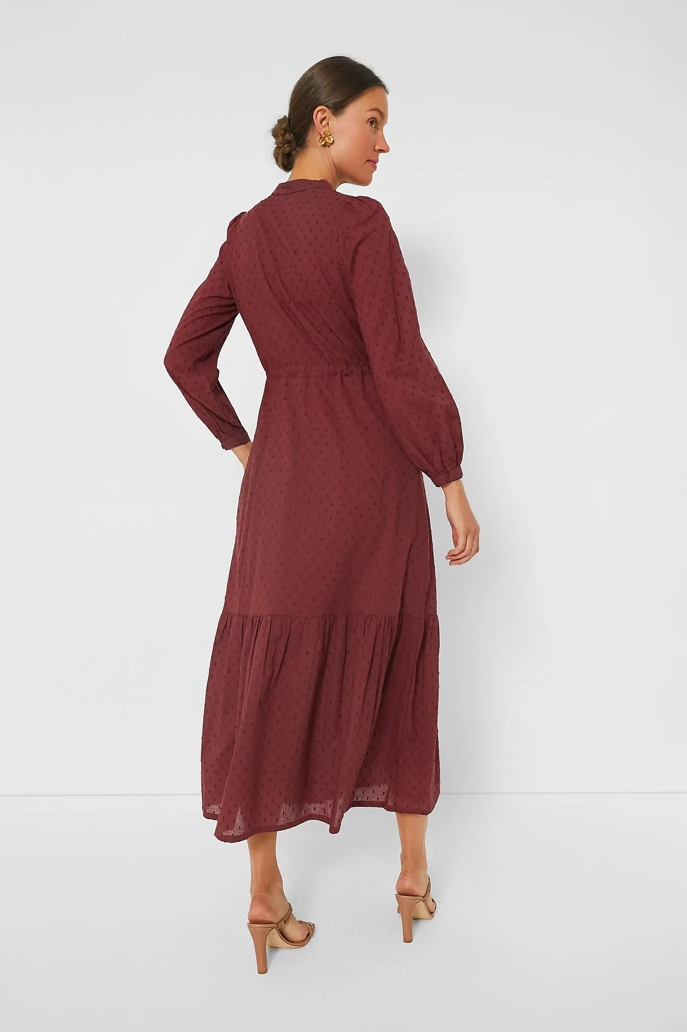 Swiss Dots Burgundy Frances Dress 3