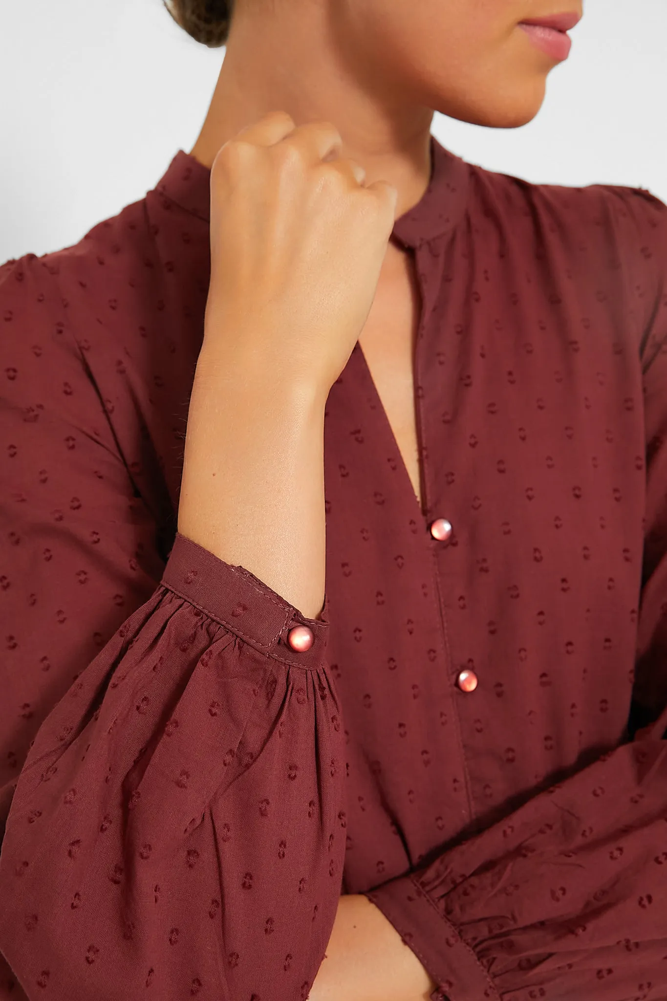 Swiss Dots Burgundy Frances Dress 3