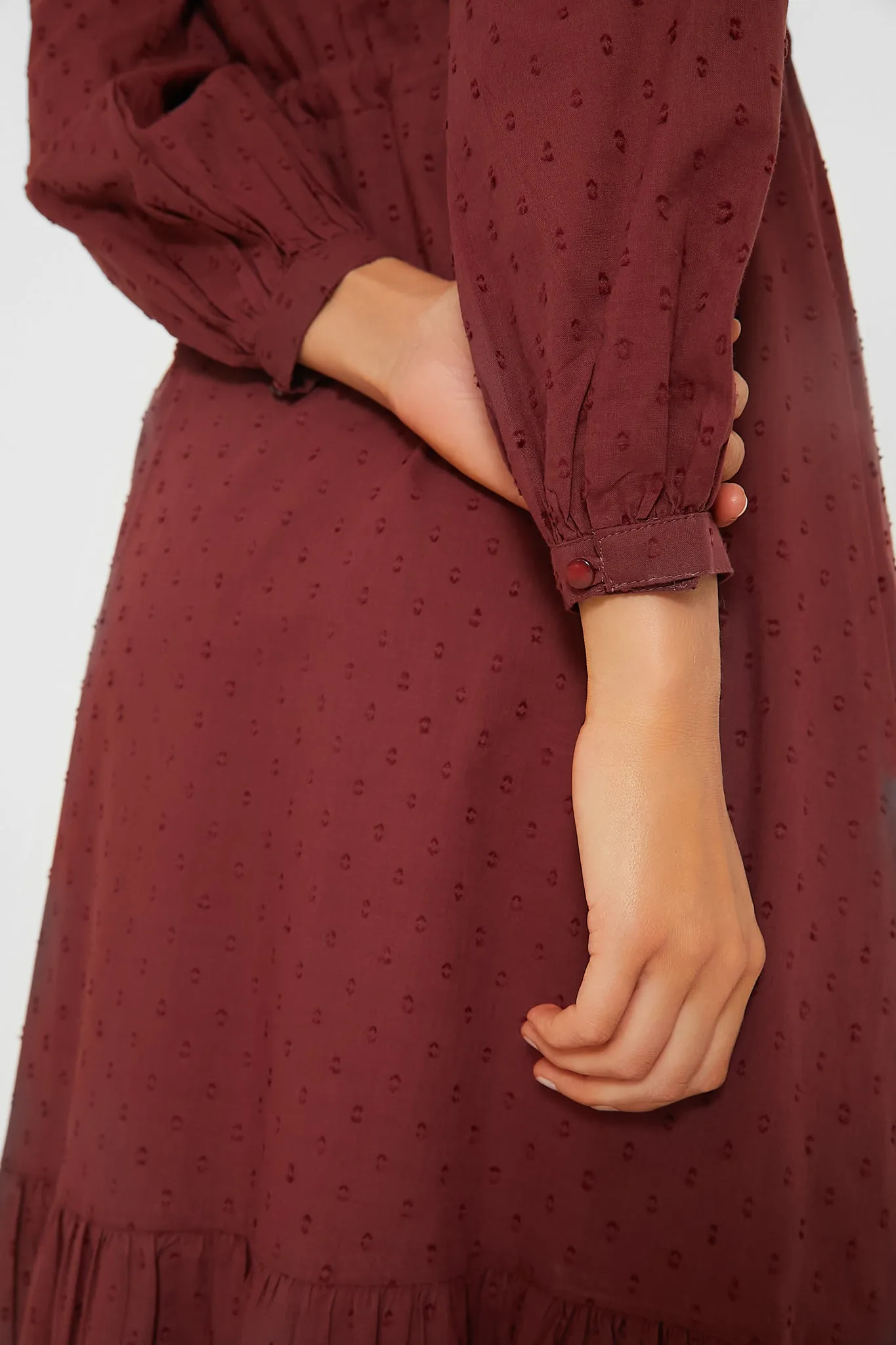 Swiss Dots Burgundy Frances Dress 3