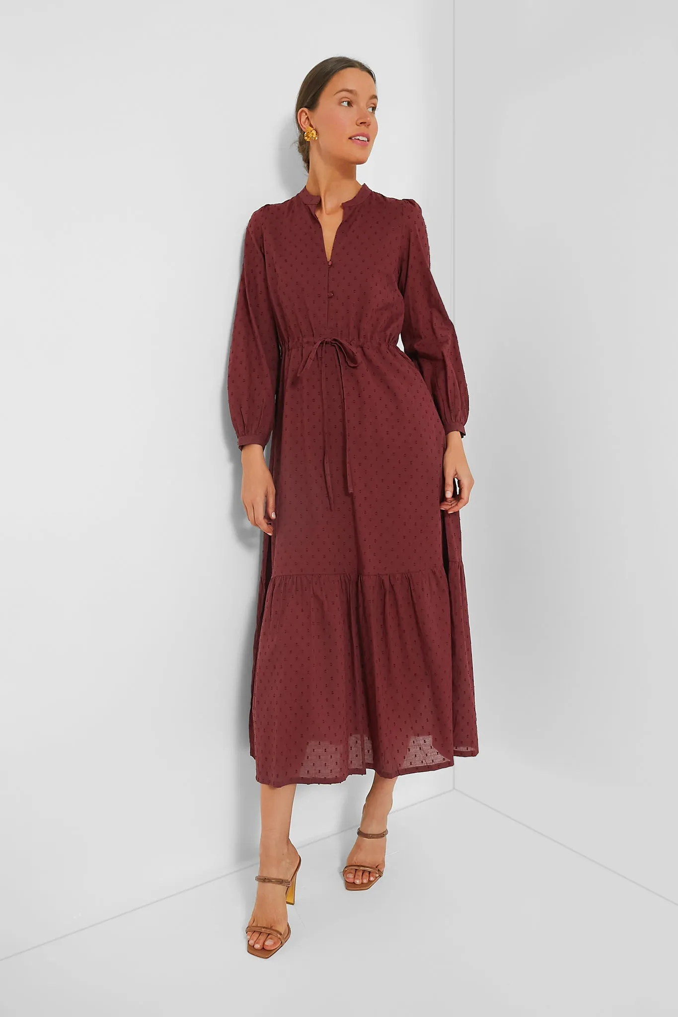 Swiss Dots Burgundy Frances Dress 3