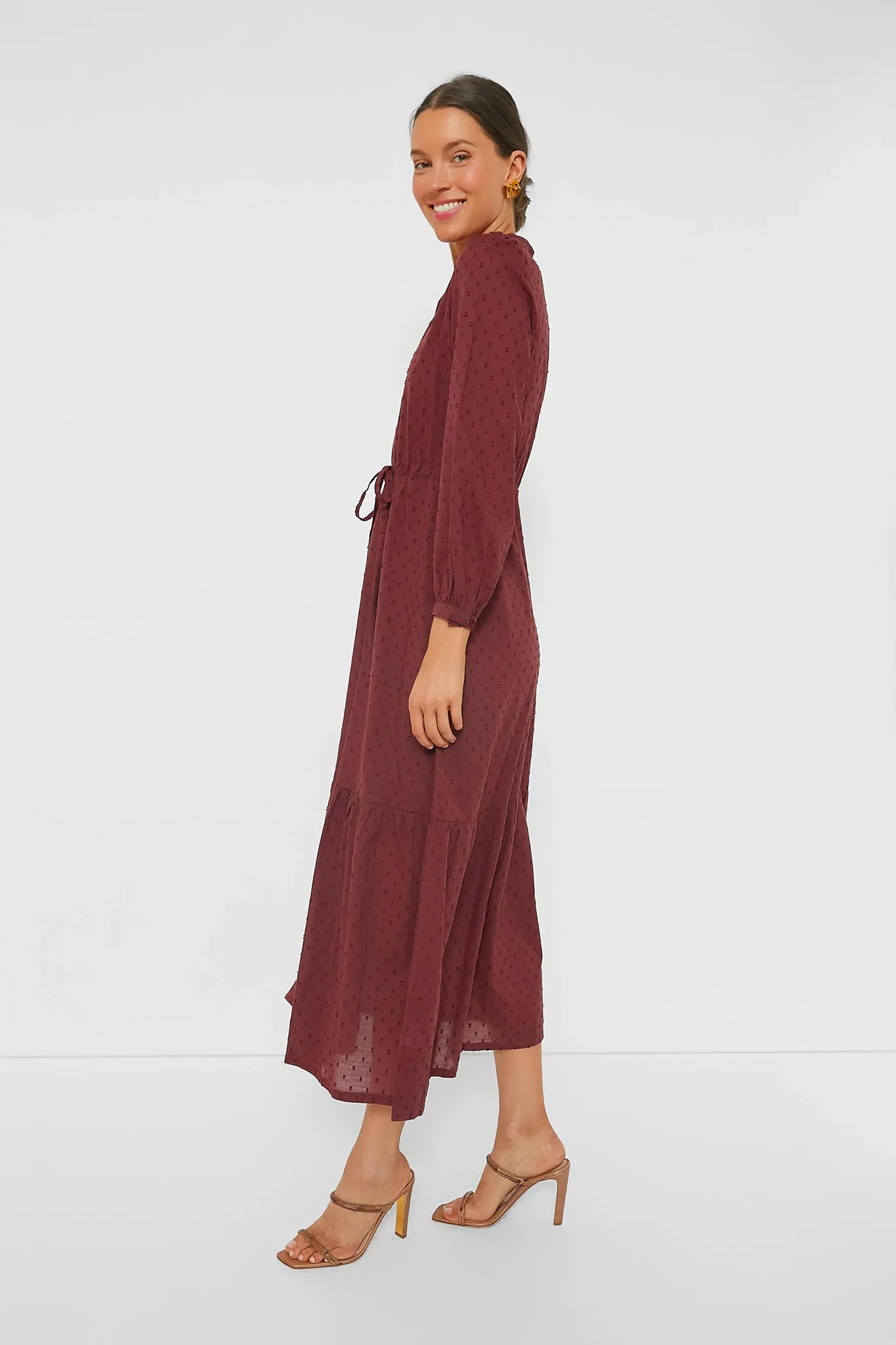 Swiss Dots Burgundy Frances Dress 3