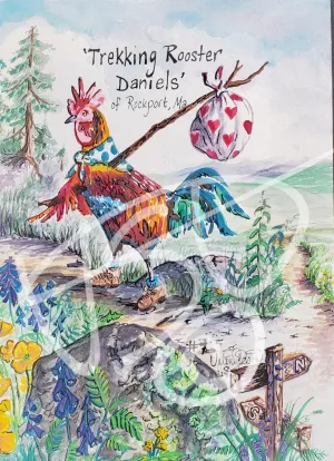 Trekking Rooster Daniels of Rockport by Valerie Doyon
