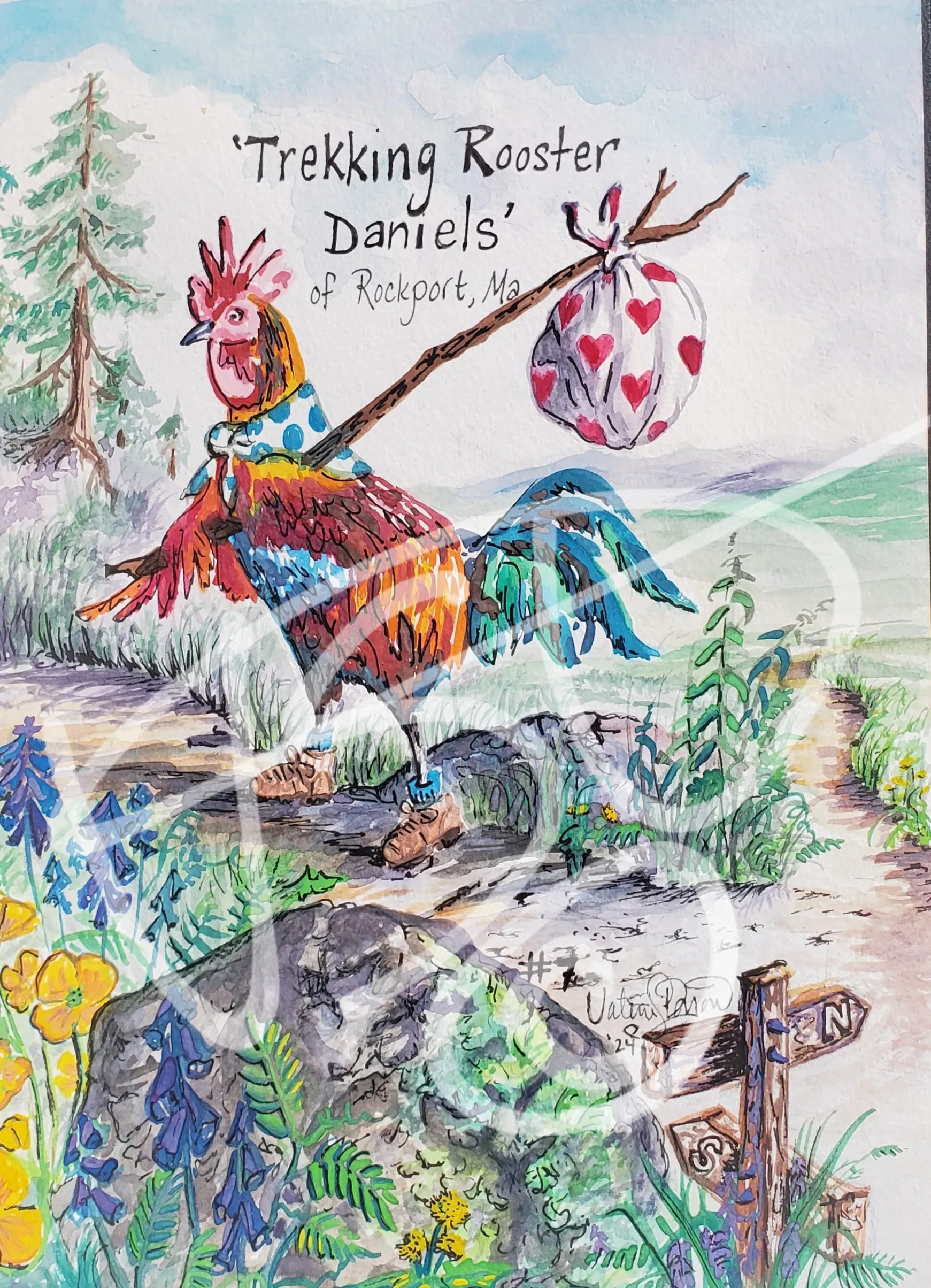 Trekking Rooster Daniels of Rockport by Valerie Doyon